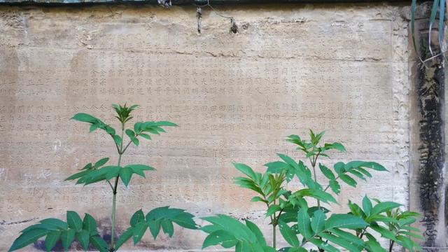 重庆九龙坡有一座明朝大寨，拥有18道城门，相传张献忠在此称帝