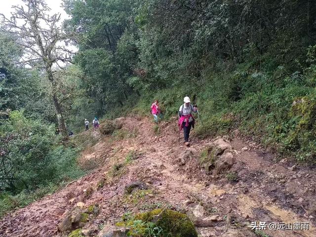 攀登昆明十峰之宜良老爷山，经历密林大雨考验，惊喜交加，难忘