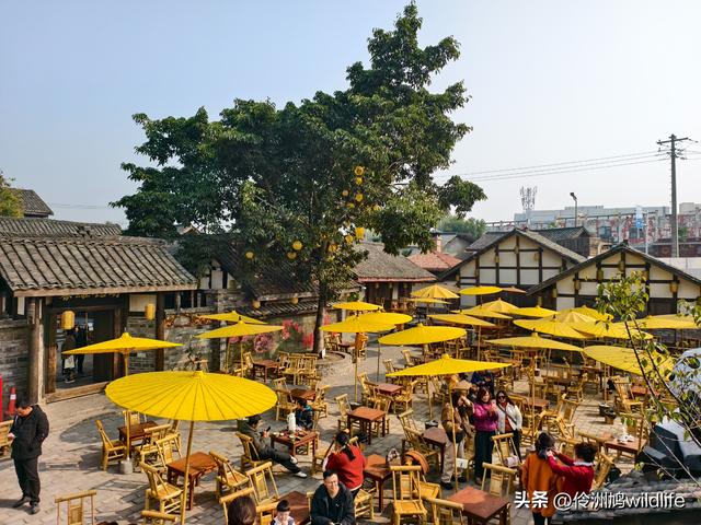 四川行(75)广汉②金雁湖公园·黑塔街·龙居寺