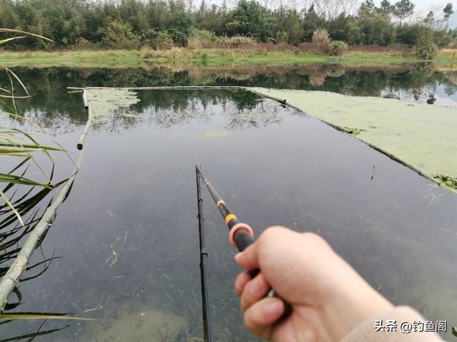做好5点，你的浮漂会“灵敏”很多！个个都是销魂大顿口