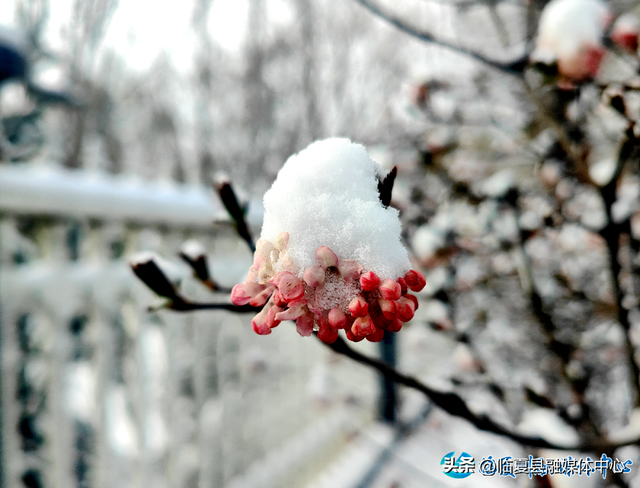 临夏：所有的蛰伏，都在等这一次苏醒