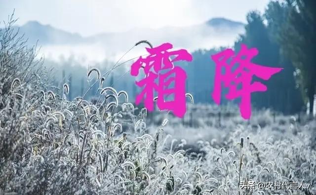 明日霜降，老话“霜降重阳前，必定是灾年”，啥意思？早看早知道