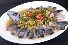 何菲：鲅鱼的圈图片