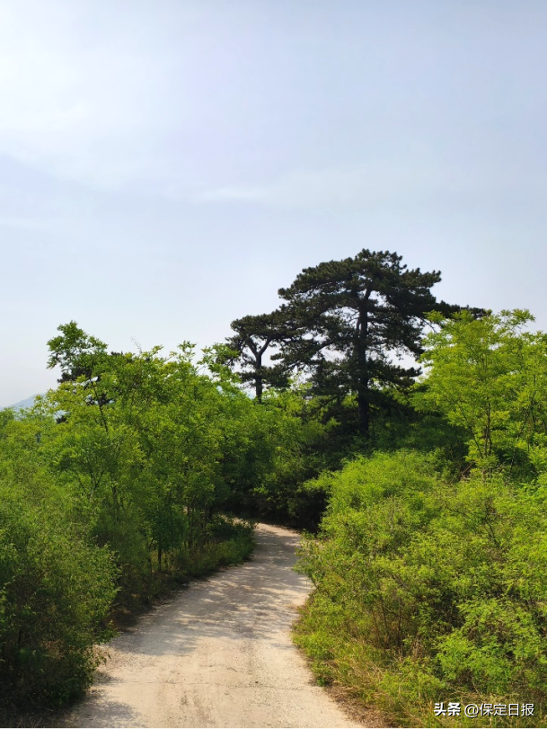 聚焦河北省旅发大会 | 保定分会场：Baoding Mountain Walk！穿越保定太行步道的N种可能