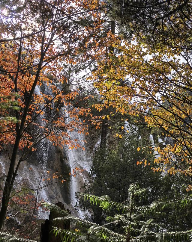 九寨沟的颜值巅峰：层林尽染、海子映彩