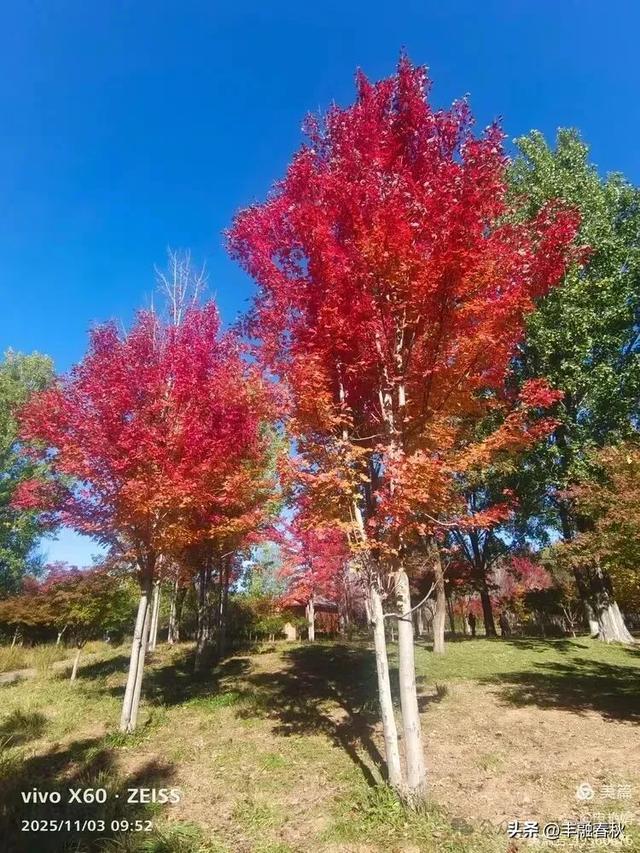 青岛即墨马山寻趣：一座地质公园的秋日私语｜申艳娟
