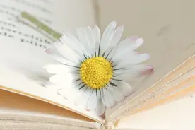为人要虚怀若谷，不要固执己见图片