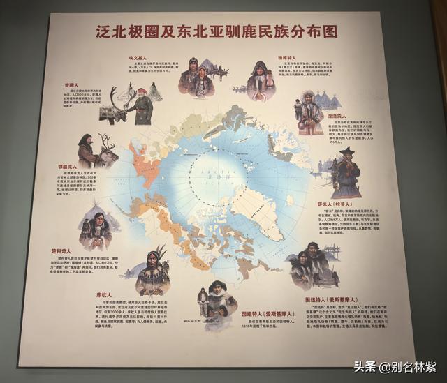 读懂《额尔古纳河右岸》，先从参观敖鲁古雅驯鹿博物馆开始（19）