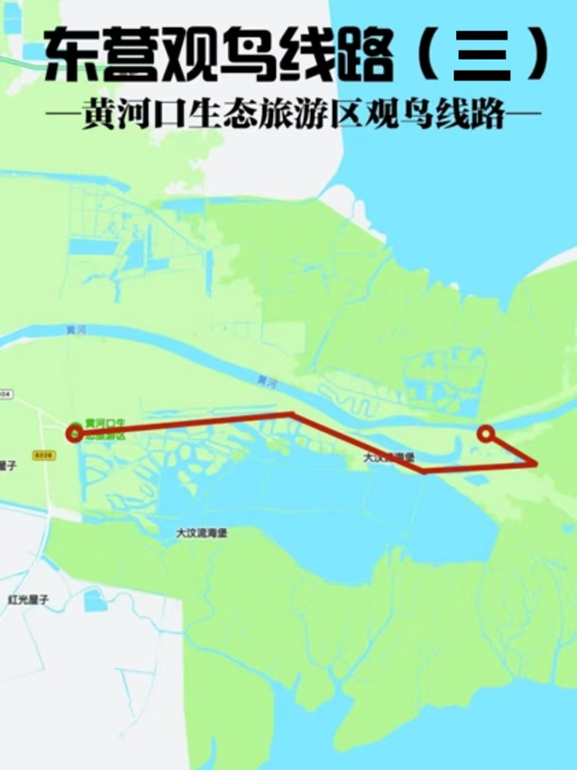 “鸟浪”来了！这份观鸟攻略请收好