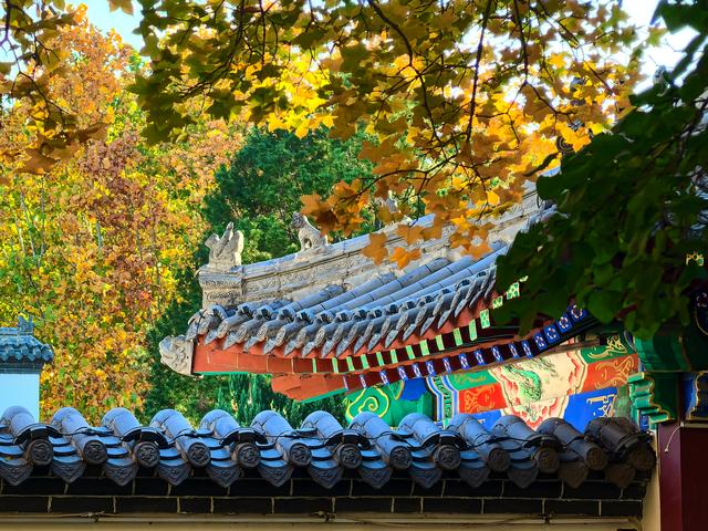 半烟火半诗意：潍坊园林的美，从不被定义