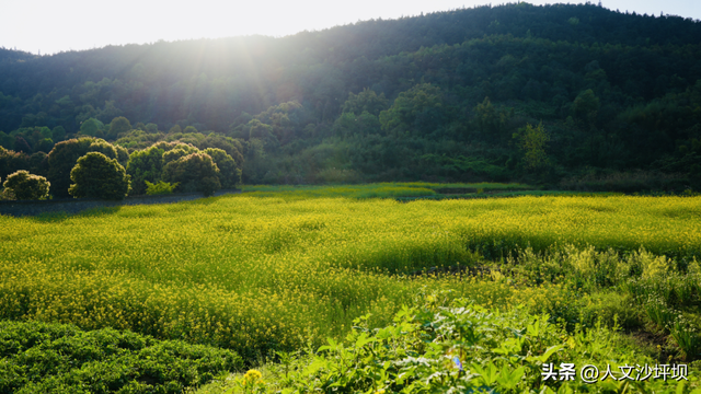 周末，来沙坪坝采“野味”呀~（附宝藏民宿/营地清单）
