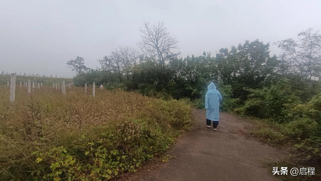 雨后路况不好，户外到哪里走走？