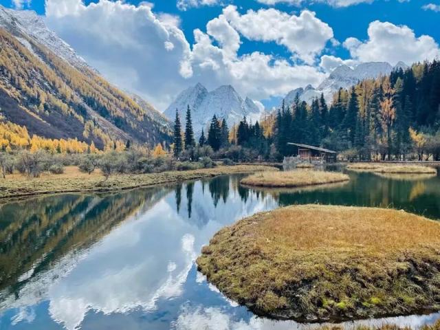 接下来，小金是这样的~