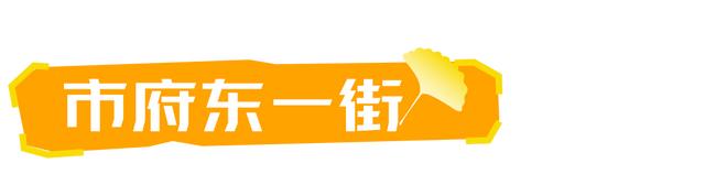 生为山东「银」，何其有「杏」！