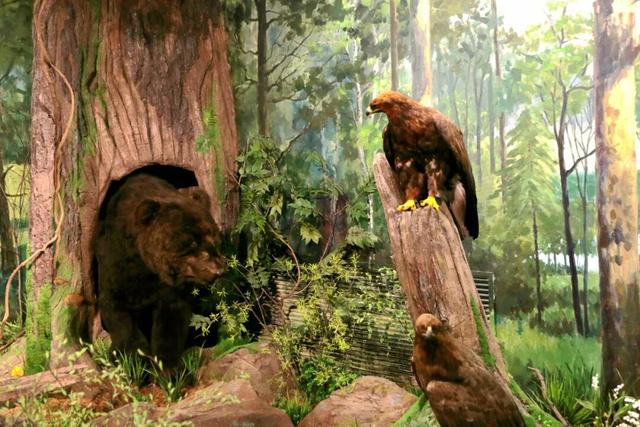 额尔古纳国家级自然保护区科普宣教馆投入试运营