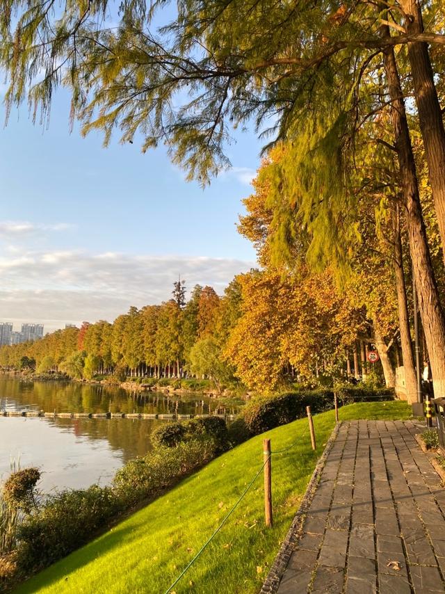 我广州人，刚从武汉回来，实在忍不住想说：对江城的5点印象