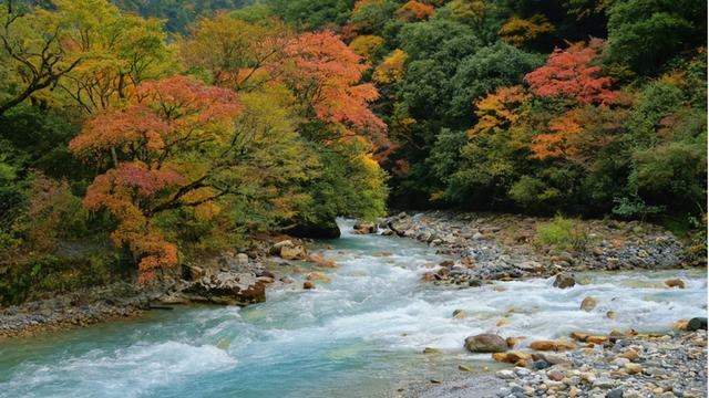雅安这些景区免票、半价！