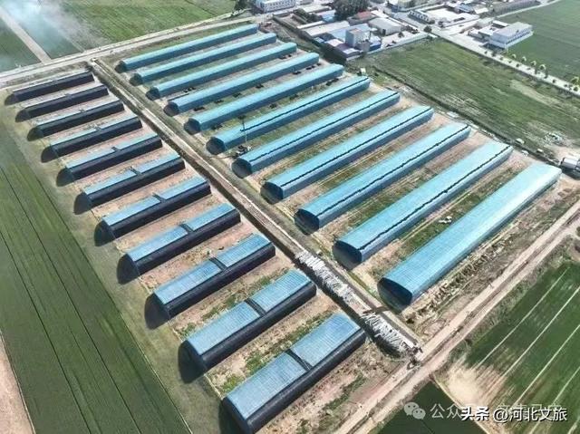 【走进束鹿古城】马庄乡