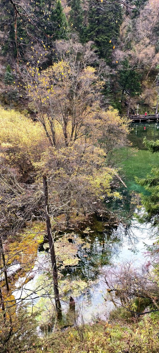 神仙池（一）竖幅