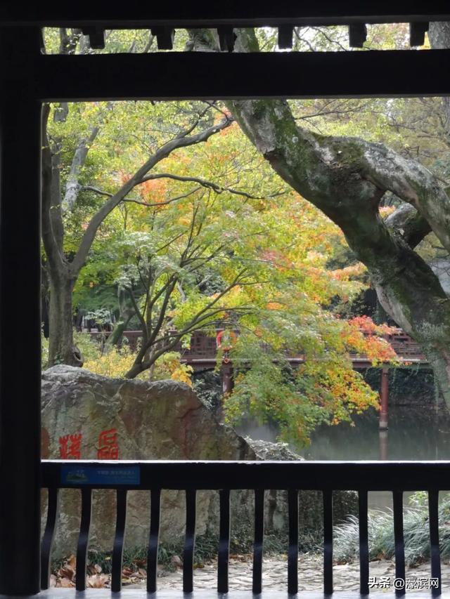 秋色“进度条”加载中，狼山森林公园赏秋点等你来打卡→