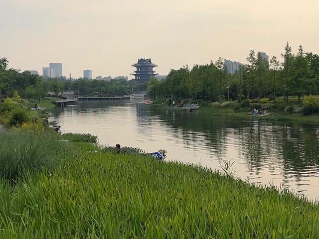 上海400亿打造的网红公园，风景绝美免费参观！