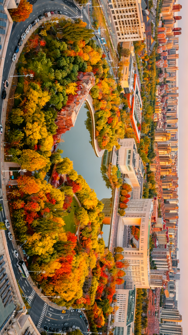 生态城的秋天，已经美得不像样了