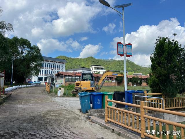 新丰秀田，是来看古树的