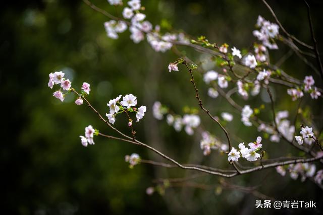 本想追晴天秋色，却在大围山遇雨，意外读懂“暮霭沉沉楚天阔”