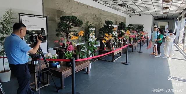 游西湖：杭州植物园之石蒜花展