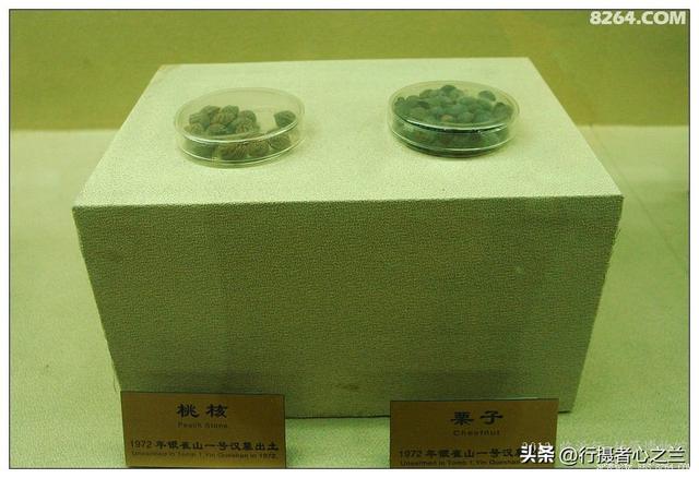 山东行游影记（57）—银雀山汉墓竹简博物馆（八）