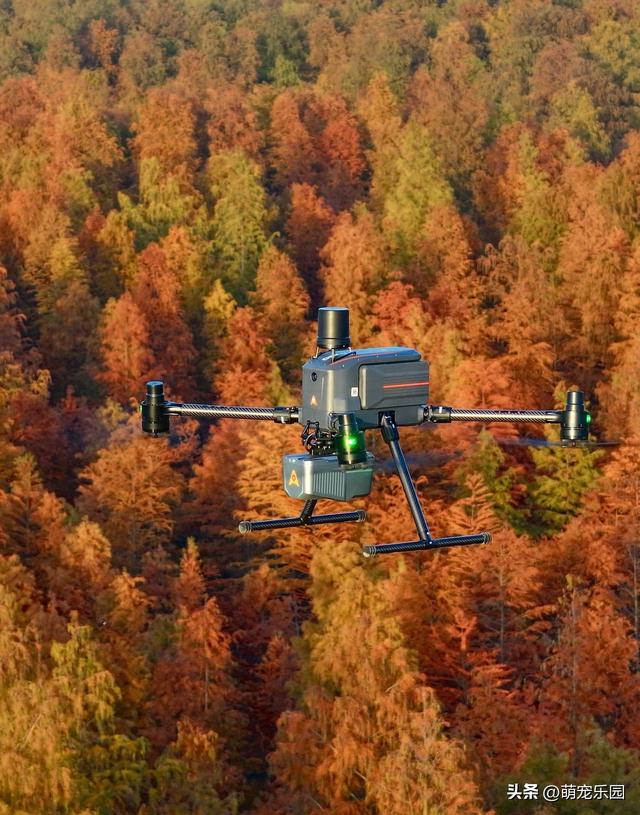 武汉秋日悄然绽放，梧桐叶黄江风凉，你还在等什么？