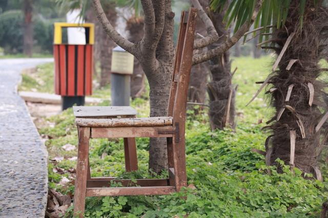 从苏州回来，又去了河南洛阳，实在忍不住想说：对洛阳的5点折服