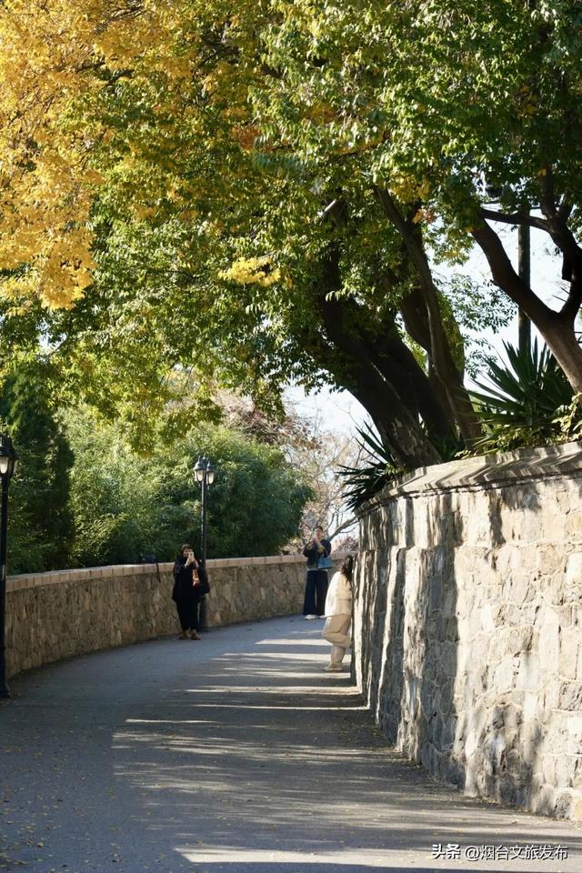 【乐游烟台】现在就冲！烟台这几处街景美到开挂