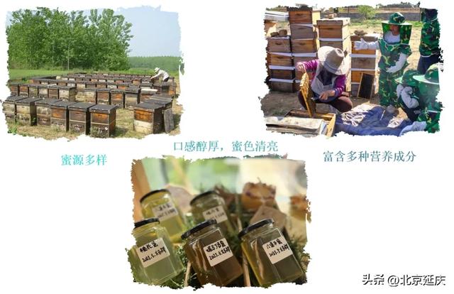 8大线路发布！GO~去延庆四季花海
