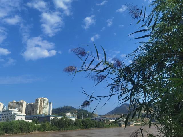 黄河之滨也很美