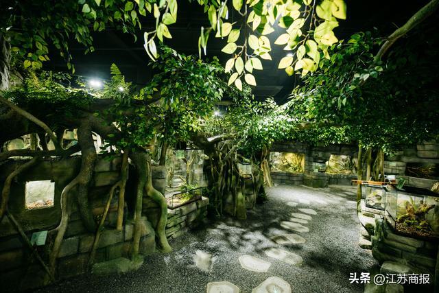 7.25 震撼开启！虫返侏罗纪爬行动物博物馆，等你穿越史前