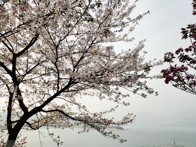 屈原故里（2021.3.15 宜昌·秭归）