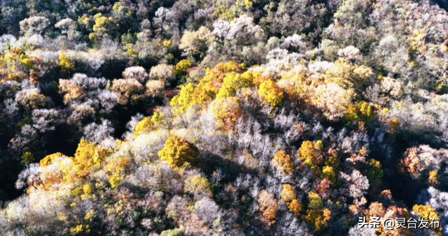 把灵台秋韵的山水诗意 都藏进这个秋天里