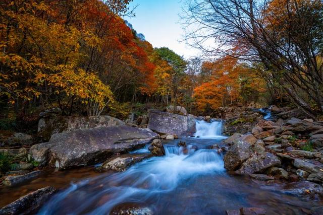 成都出发2.5h刹拢最绝红叶之城！秋色媲美九寨，一城吃够三省美食！更有山林温泉泡过瘾！