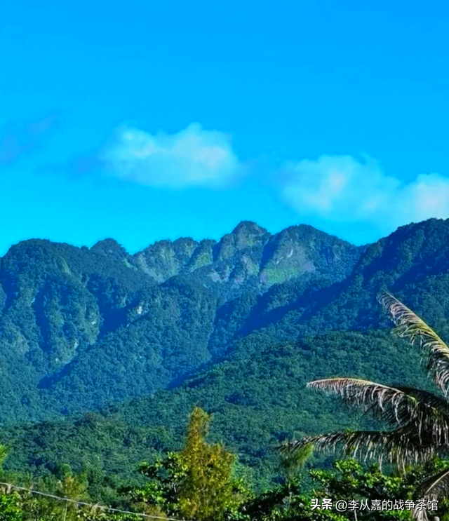 东南某省要打游击战？ 却不知道它的地形 让所有的游击战理论都无效