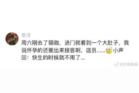 原来猫咖的猫赚的也是辛苦钱，上班上得职业病都出来了图片