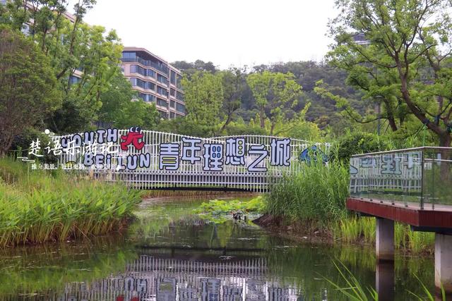 浙江宁波的新兴游玩地，多个公园相邻而居，多个荷花池美不胜收