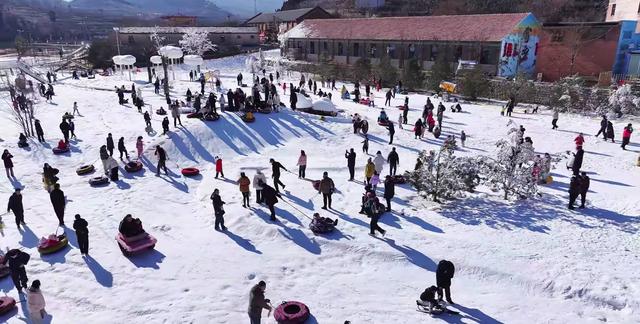 济南市莱芜区高庄街道打造现实版“狗熊岭” 解锁冰雪童趣