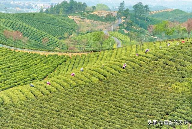 游客在河南一景区游玩买补给没网又没钱，老板一句话，众人：得给