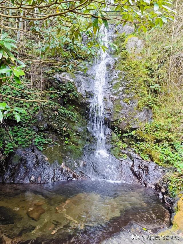 1.5h直达！藏在山野里的捡秋秘境，瀑布+挖宝双buff拉满！