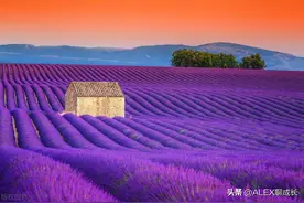 一个人会和谁结婚，其实是命里注定的，3个问题告诉你答案，很准图片