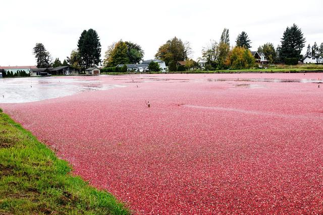 去北美洲加拿大和古巴的旅程