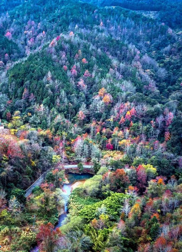 韶关晚秋“神仙景致”：云海、奇峰、秋叶奏响绝美“三重奏”！