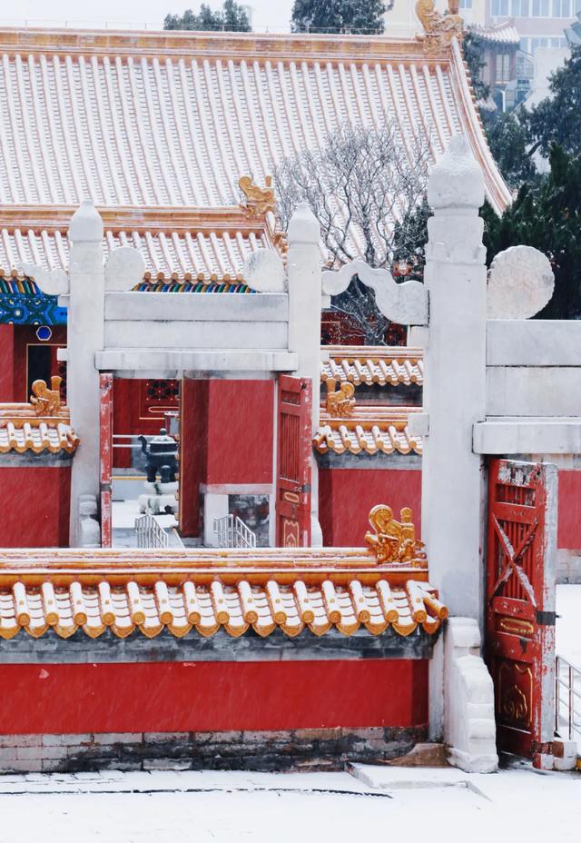 下了！下了！快来东城赏雪吧！