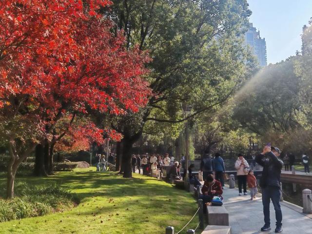 秋色正当时！这座4A级公园换上了“美拉德”秋装